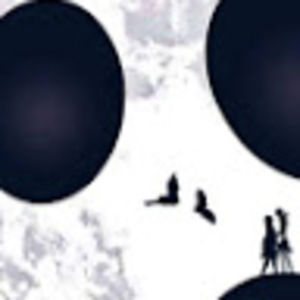 Meet your Posher, Jessie